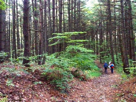 Charles Deam Wilderness Indiana