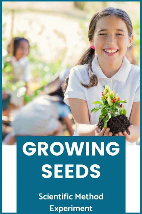 Scientific Method Experiments 的图像结果