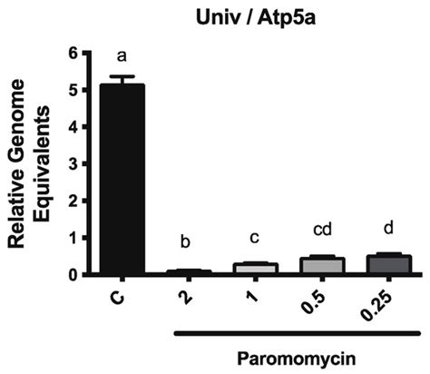 Paromomycin Reduces Vairimorpha (Nosema) ceranae Infection in Honey ...