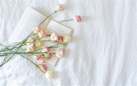 Download wallpaper 3840x2400 flowers, buds, book, aesthetics, light 4k ...