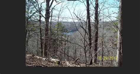 Image result for FMS Ridge Runner Flight