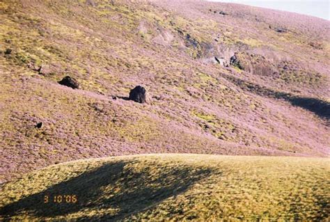 Call for Palani hills National Park