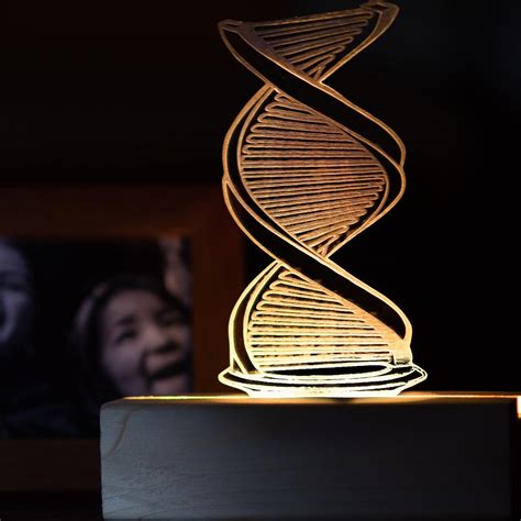 DNA - Lamp – TangyOak
