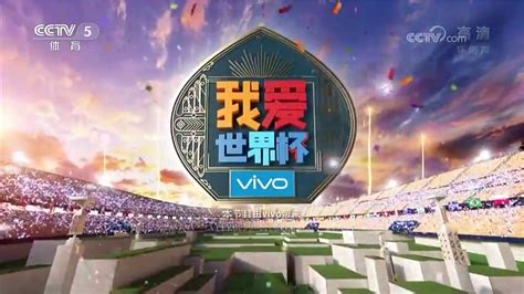 サッカーワールドカップを中国CCTV5で見る。 - 異邦人になってみた～～上海生活写真ブログ