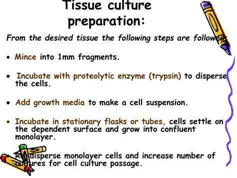 Neutralization Test 的图像结果