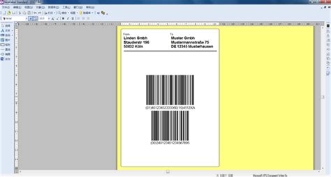 NiceLabel System 的图像结果