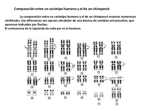 Image result for Research Code Sheet Example