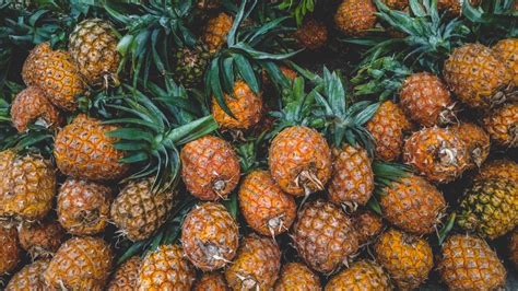 Image result for Graph Algorithms Application