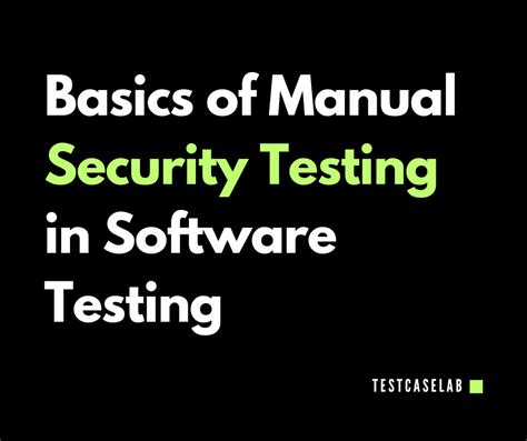 Image result for Security Testing Basics