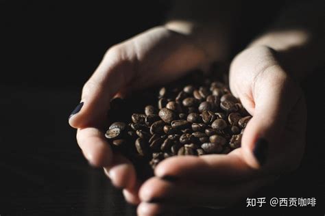 世界十大咖啡豆品牌：巴西咖啡豆上榜，第二是世界最贵咖啡豆_排行榜123网