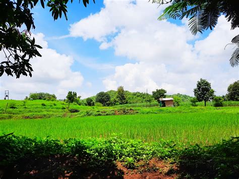 Farm landscape - PixaHive