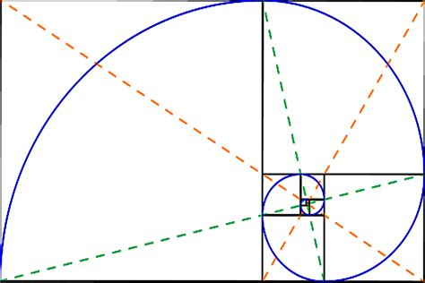 Golden Ratio PNG, Golden Ratio Transparent Images - Free Transparent ...