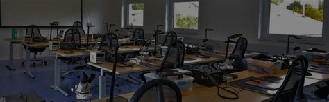 » Our Flyers Brochures