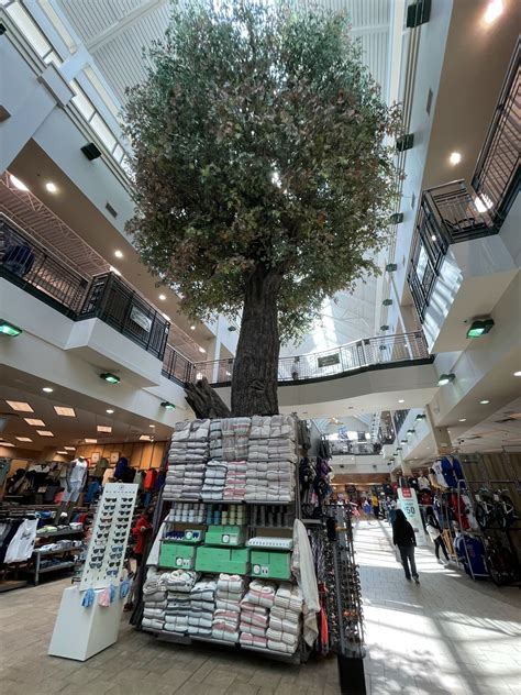 SCHEELS - 101 Jordan Creek Pkwy Building 4000, West Des Moines IA ...