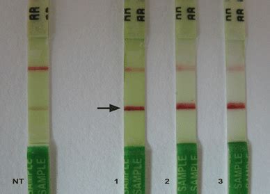 Image result for How to Test CP4