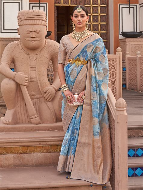 Sky Blue Organza Saree with Jacquard Border & Digital Print - VJV Now ...