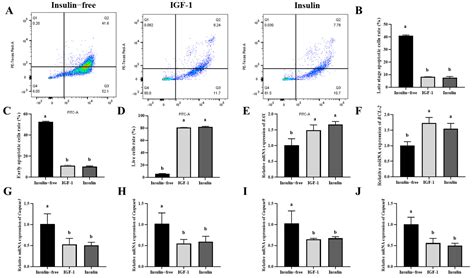Functional Equivalence of Insulin and IGF-1 in the In Vitro Culture of ...