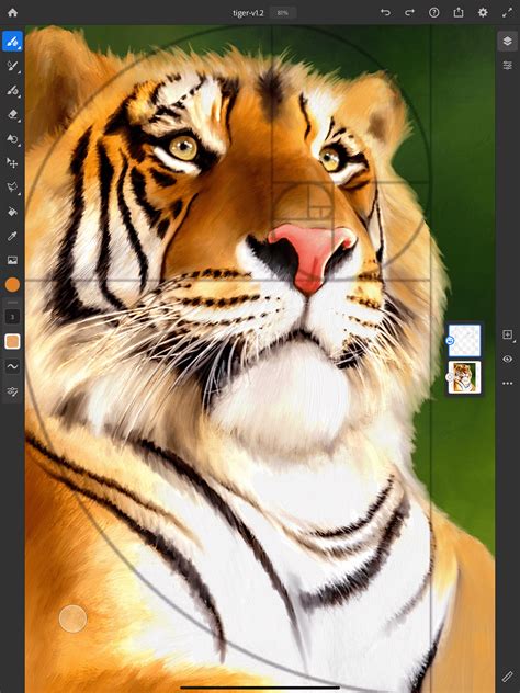 Draw/Paint 的图像结果