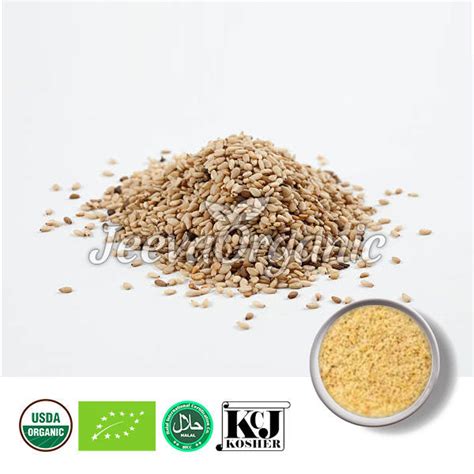 Sesame Seed Powder Supplier | Nutrient-Rich Ingredient for Supplements ...