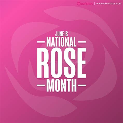 National Rose Day Wishes, Quotes, Images, Posters, Greetings, Messages ...