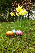 Image result for Easter Egg Crafts