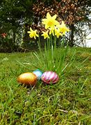 Image result for Easter Bunny Egg Hunt