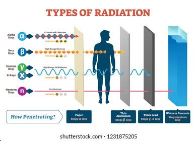 Image result for Types of Radiation Examples