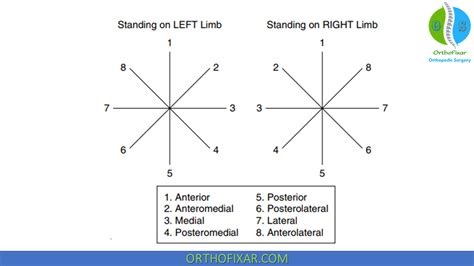 Image result for Star Excursion Balance Test