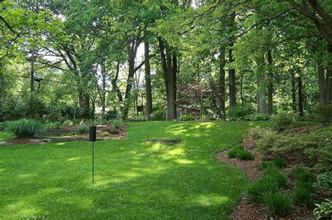 How To Grow Grass In Shaded Areas | Storables