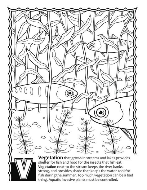 Biology Coloring Pages 的图像结果