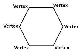 what are vertex ? explain pleaseeeeeeeeee - Brainly.in