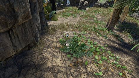 Image result for Beginners Guide to Stranded Deep