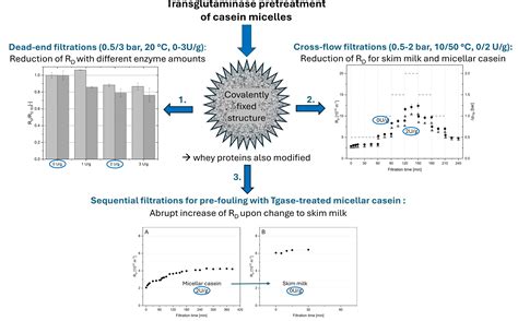 Potential and Challenges of a Targeted Membrane Pre-Fouling: Process ...