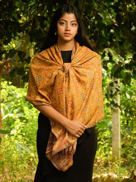 Kashmiri Kani Woven Stole for Women in Paisley Jacquard Weaving ...
