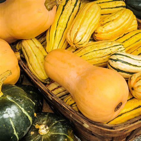 Yellow Winter Squash