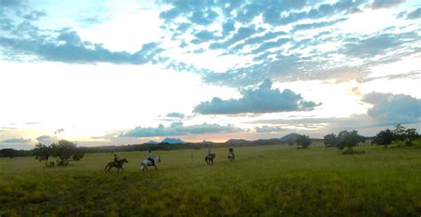 DADANAWA RANCH (Rupununi) - Ranch Reviews & Photos - Tripadvisor