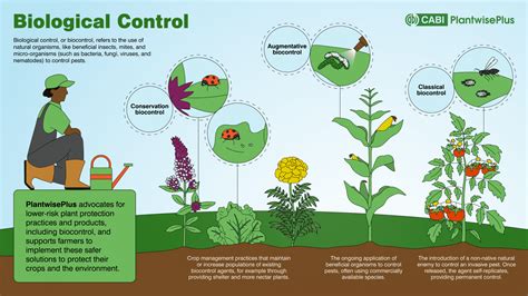 Biological Control Examples 的图像结果