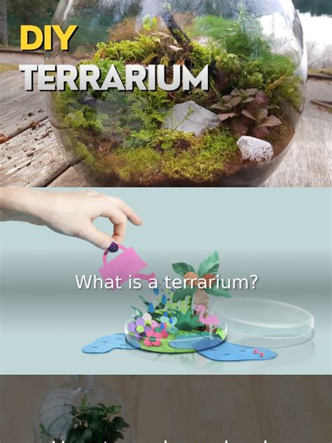 Image result for Terrarium Making111
