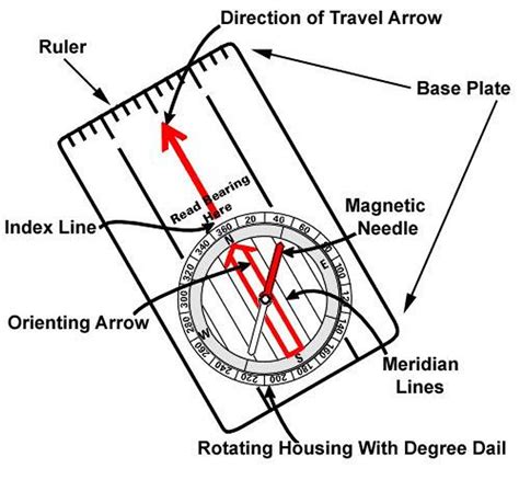 Image result for Compass Basics For Dummies