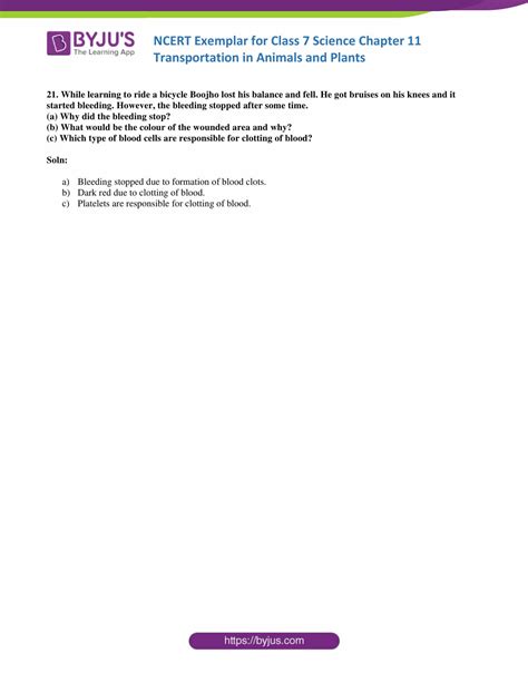 Image result for Jr Tutorials 7th Class Science Chapter 11