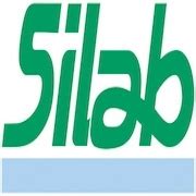 SILAB Reviews | Glassdoor