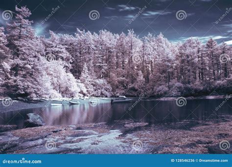 Sucia Island, Shallow Bay, San Juan Islands, Washington Stock Photo ...