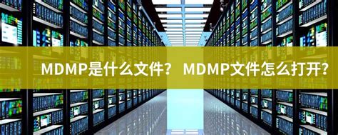 MDMP Examples 的图像结果