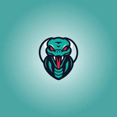 Image result for Python Linux Hacking Logo