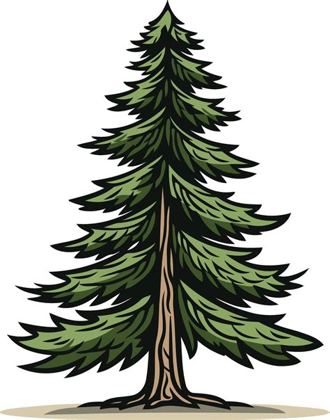 Evergreen Tree Vector 的图像结果