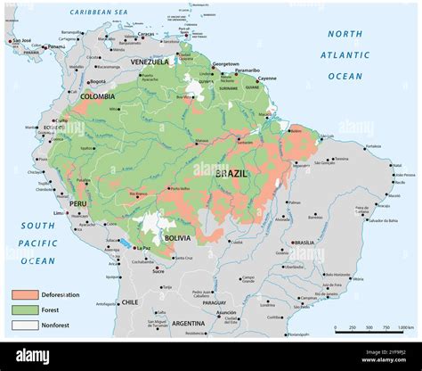 Mappa Fisica Della Foresta Amazzonica