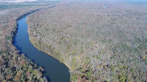 South Carolina Hog Hunting | Crooked Cut Outfitters