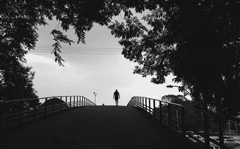 Download wallpaper 1920x1200 silhouette, trees, bw, walk, lonely ...