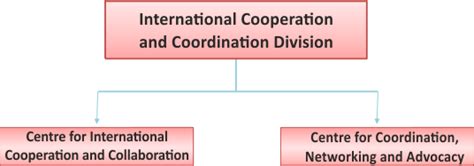 International Cooperation and Coordination Division | Rajiv Gandhi ...