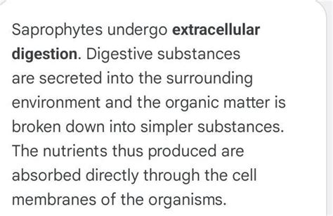 how does a saprophyte digest its food for 7th grader - Brainly.in